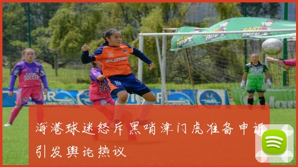 海港球迷怒斥黑哨津门虎准备申诉引发舆论热议